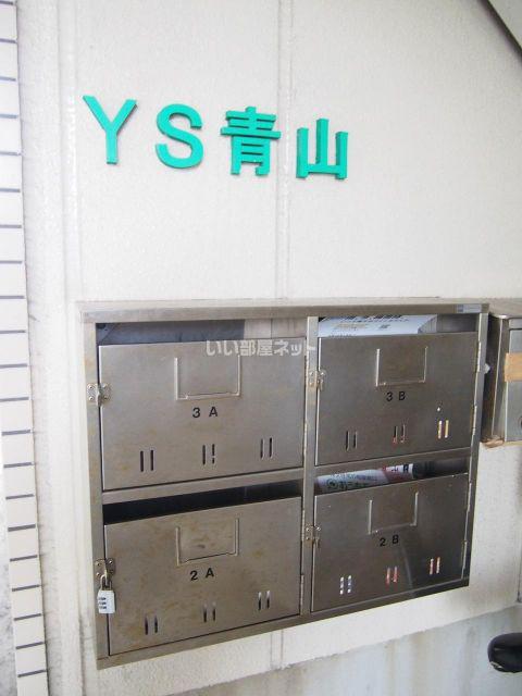 YS青山