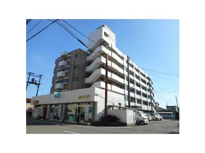 プラザ信開糸町(1LDK/2階)の外観写真