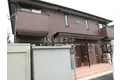 アメージング金色