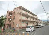 ハイツコスモス