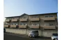 リップルN