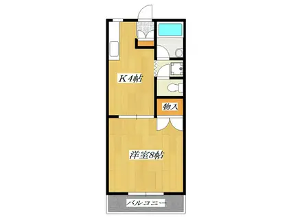 清和レジデンス(1K/1階)の間取り写真