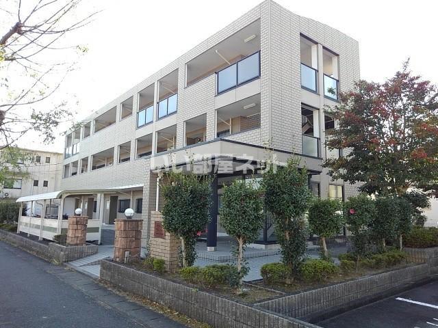 グリーン.アヴェニュー