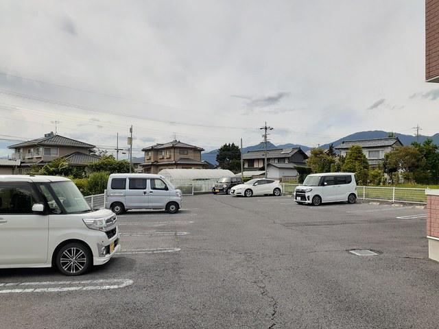 グリーンカルム