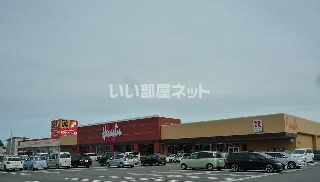 ココモときめき東