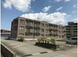 ユーミー堀川