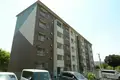 小田原橘