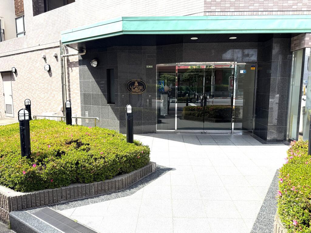 ルピナス本駒込
