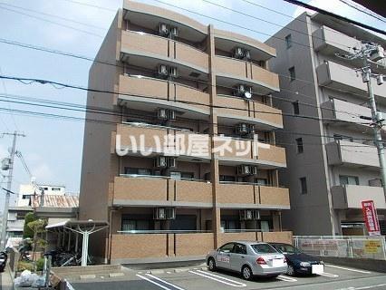 プリムローズ・HY1