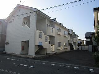 セルフィYS