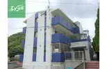 フィールドY
