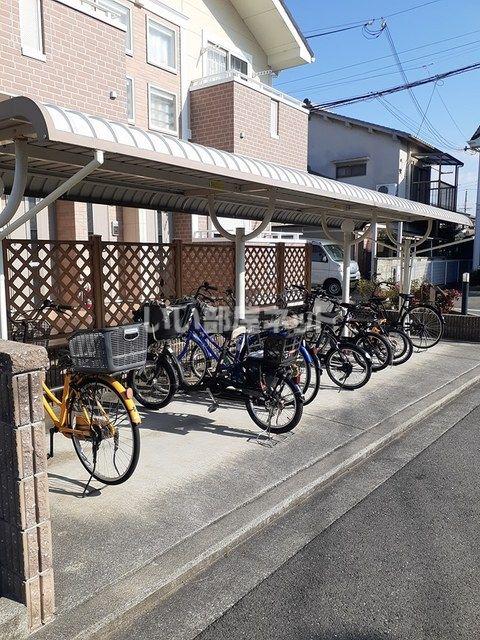 ソフトリ-I
