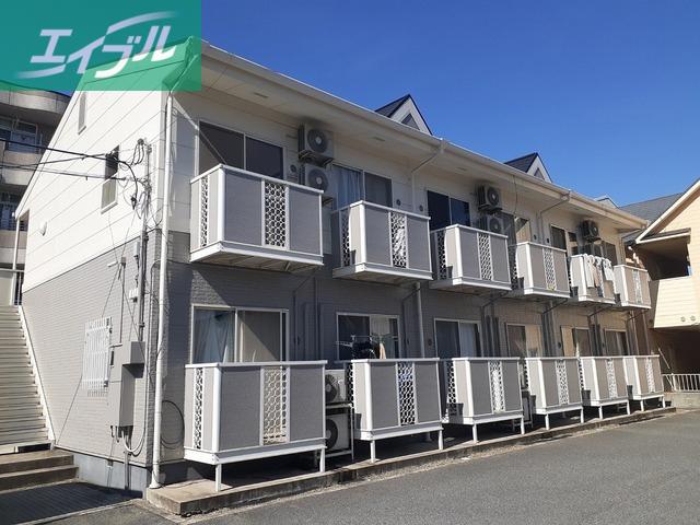 サンフラワー青江