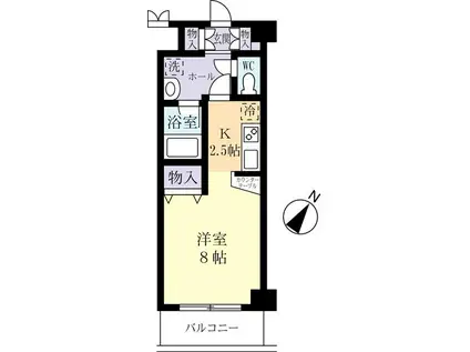 ヴィレッジコスモ(1K/2階)の間取り写真