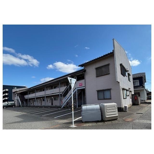 ニューカトレアN