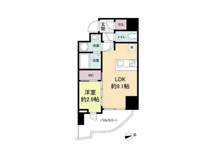 セレニテ難波プリエ(1K/7階)の間取り写真