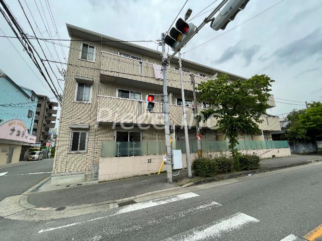 ハナミズキ