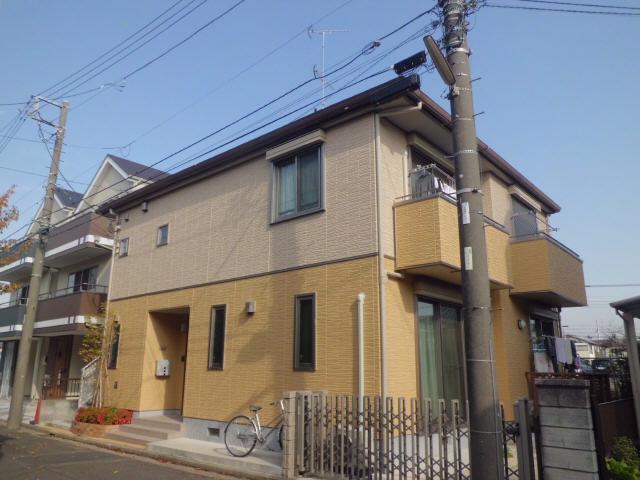 スプリングサワラビ