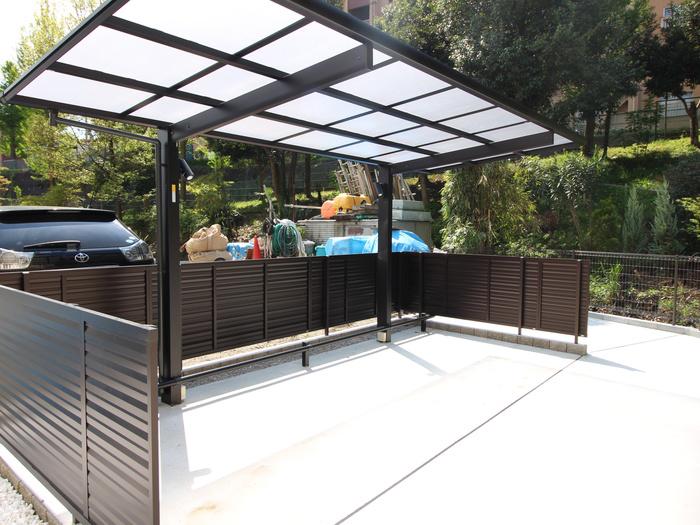 TORTUGA C
