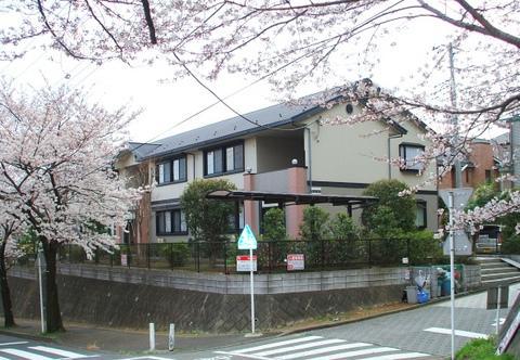 コージーコート