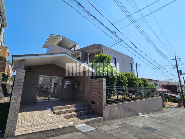 川之上ビル弐番館(1LDK/1階)