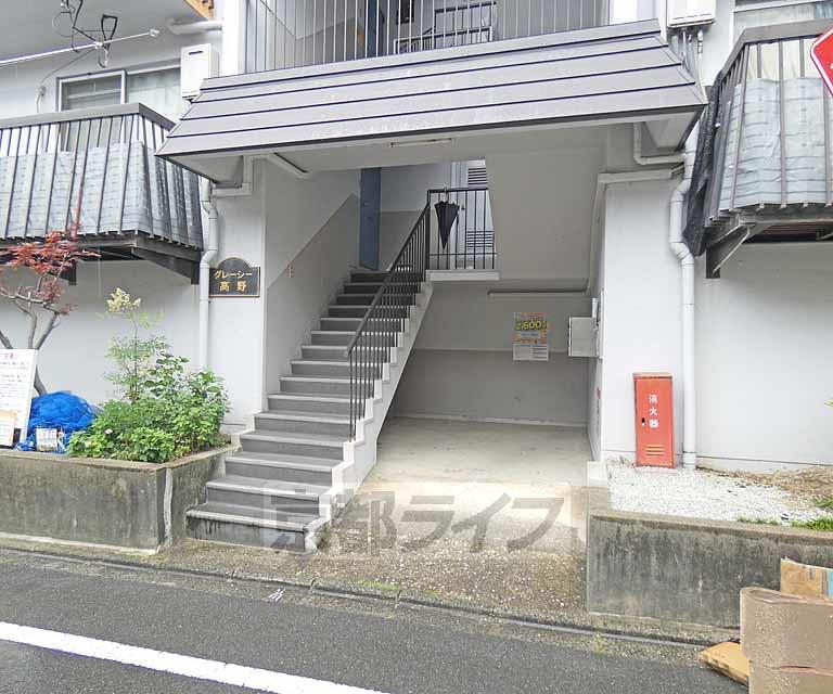 グレーシー高野