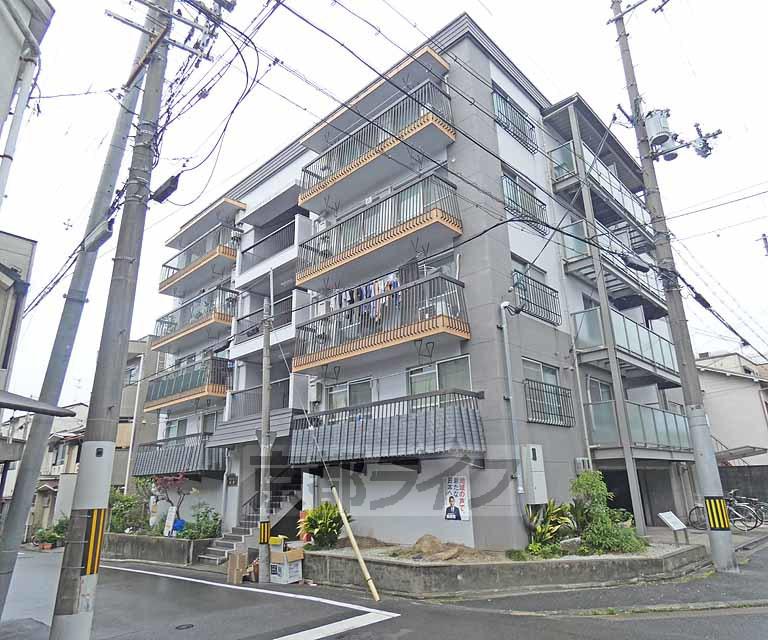 グレーシー高野