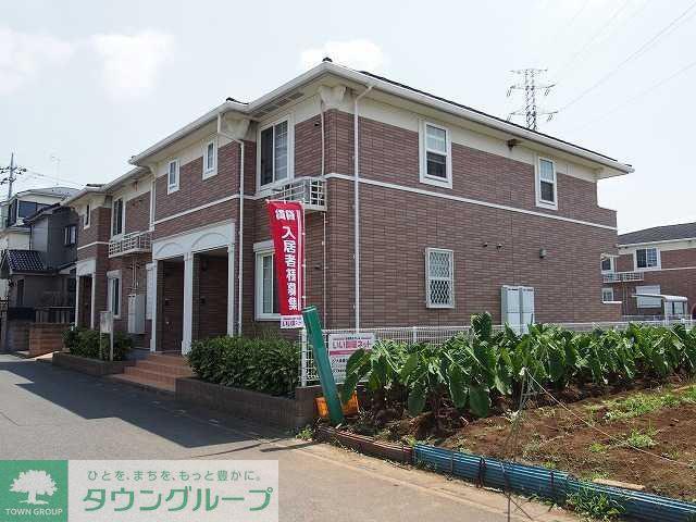 エヴァーグリーンB