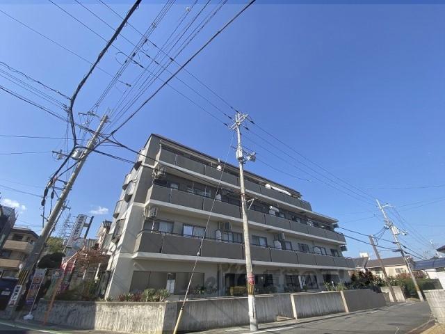グリーンヒルトミタ