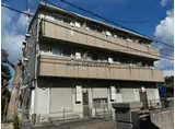 スカイフォレスト