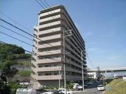 ロイヤル竜王