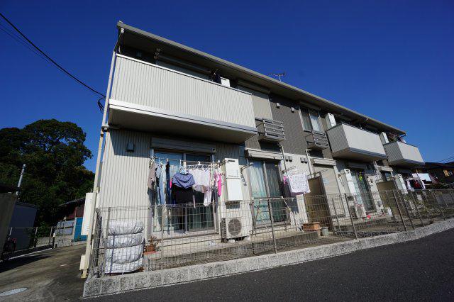スカイウイング