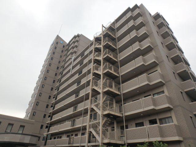 ベルドゥムール川口東