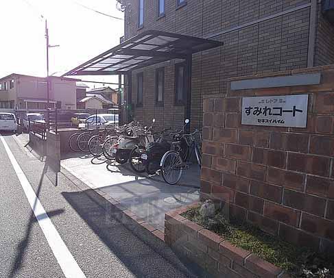 すみれコート