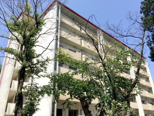 ロイヤルマンション(2LDK/1階)