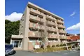 際波フォレストウインズ