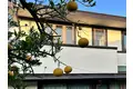 CITRUS HOUSE