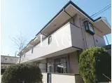 サニ-グローブ