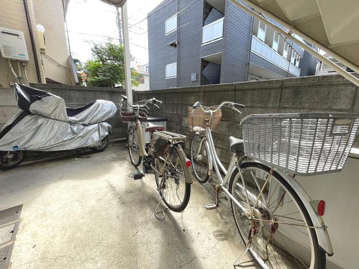 カーシュ並木
