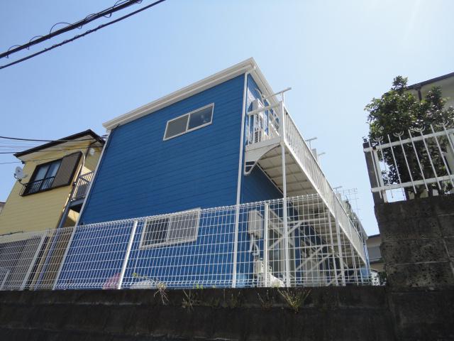 ハイムタチバナ
