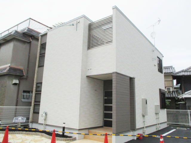 ダンデライオンますがC