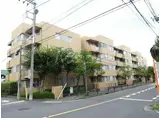 コンフォール野川