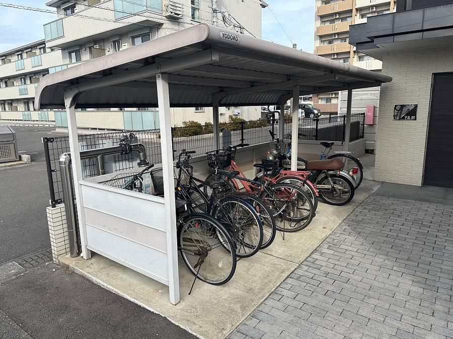 ラヴィドール