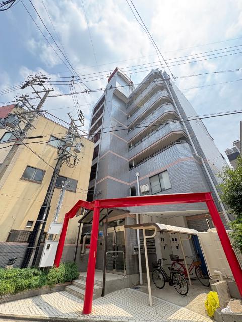 ラッキーキャット