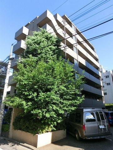 ルーブル中野富士見町