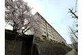 狩口台32号棟