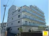N-STAGE西船橋市川