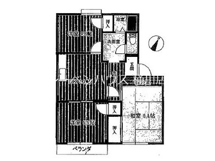小沢ハイツC棟(3DK/2階)の間取り写真