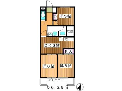 ルミエール赤塚(3DK/1階)の間取り写真