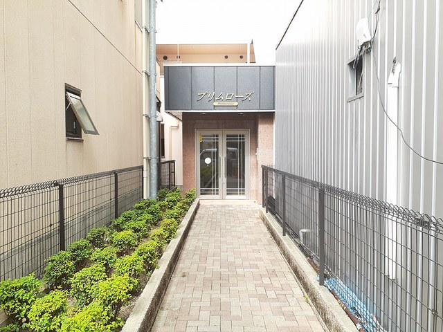 プリムローズ